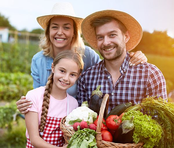 family of three wearing straw hats and Gingham patterns shirts with a basket of harvested vegetables